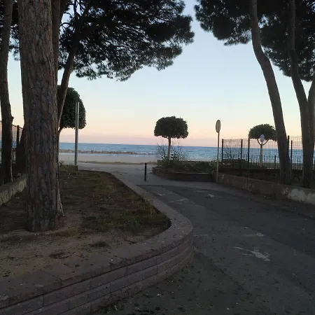 Panoramic